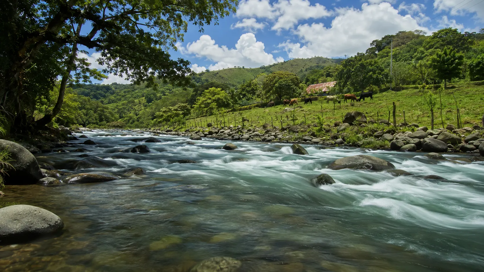 Río de montaña corriendo entre piedras por un valle ancho y verde, con potrero, cerca de alambre, ganado y un techo de zinc rojo en la ribera de enfrente.